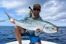 Image result for Chanos chanos