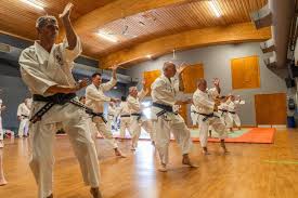 Image result for Bournemouth Shorinji Kempo Club