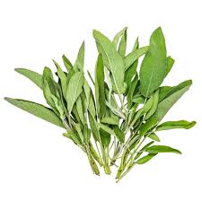 Image result for Salvie