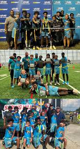 Image result for Team Voodoo Flag Football Club