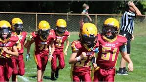 Image result for Hedingham Hawks Youth Football Club