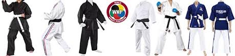 Image result for Yoseikan Budo England