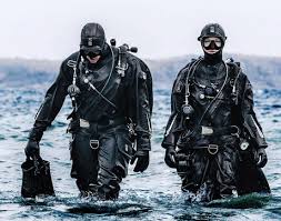 Image result for Aquanauts Dive Centre Sunderland