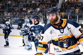 Image result for Romford Raiders