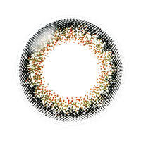 「ネオサイトワンデーシエル」の画像検索結果