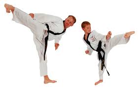 Image result for Farnham Kung Fu Club