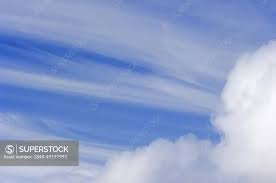 Attēlu rezultāti vaicājumam “Cirrus fibratus”