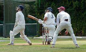 Image result for Walmley Cricket Club