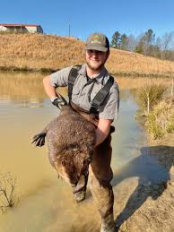 Image result for Beaver Sc