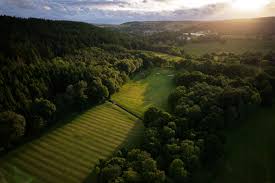 Image result for The Shipley Club