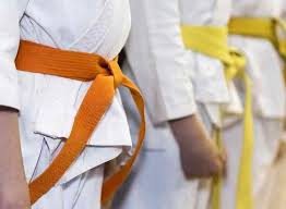 Image result for Kaizen No-Michi School of Shotokan Karate