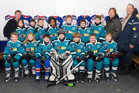 Image result for Swansea Bay Hockey Club