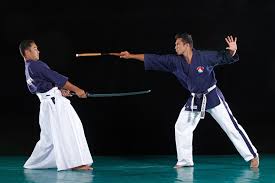 Image result for Yoseikan Budo England