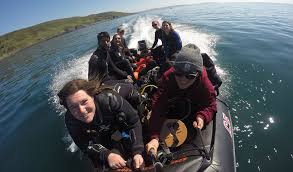 Image result for Barnsley BSAC Divers