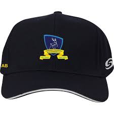 Image result for Chipstead Coulsdon & Walcountians Cc