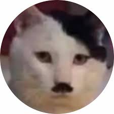 Image result for kitler