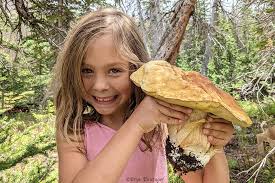 Attēlu rezultāti vaicājumam “fungi”