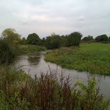 Image result for Cobham Court Angling Club