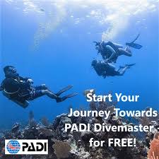 Image result for Divemaster Scuba
