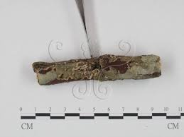 Attēlu rezultāti vaicājumam “Corticium roseum”