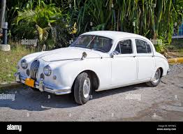 Image result for Old English White 1955 Jaguar
