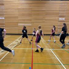 Image result for Fenton Manor Netball Club