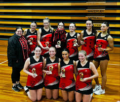 Image result for Waverley Netball Club