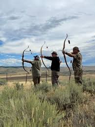 Image result for Ashcombe Valley Archers