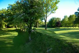 Image result for Alfreton Golf Club