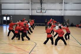 Image result for Northern Freestyle Karate Association