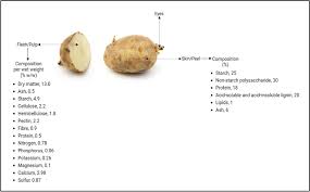 Attēlu rezultāti vaicājumam “Solanum tuberosum”