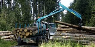 Image result for roboflail tehron