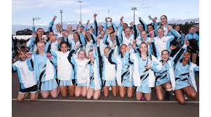 Image result for Onslow Pink Panthers Junior Netball Club