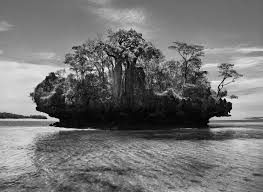 Image result for sebastiao salgado