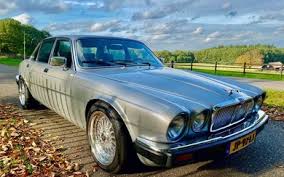 Image result for Cirrus Gray 1983 Jaguar