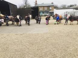 Image result for Weybridge Equestrian Centre
