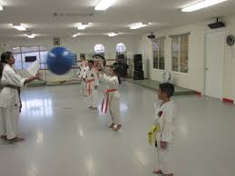 Image result for Imperial Karate Club