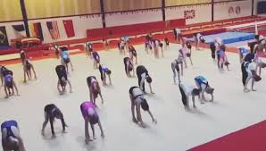 Image result for Amber Valley Gymnastics Club