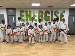 Image result for Kenshukai Karate