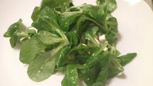 Image result for Feldsalat