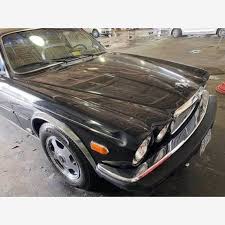 Image result for Black 1983 Jaguar