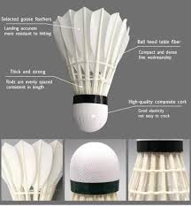 Image result for Feathers Badminton- Leatherhead