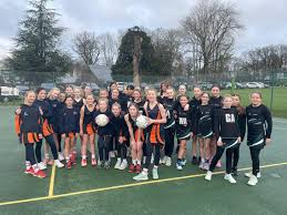 Image result for Hornets Netball Club