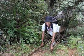 Image result for Southern Trekking and Mountaineering Club