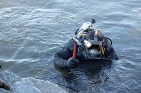 Image result for Duchy Divers
