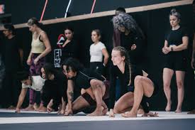 Image result for Revolution Dojo