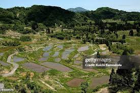 Image result for tanada