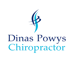 Image result for Dinas Powys Cricket Club