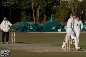 Image result for Halstead Cricket Club