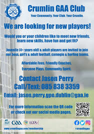 Image result for Green Isle Camogie Club - Players Wanted!